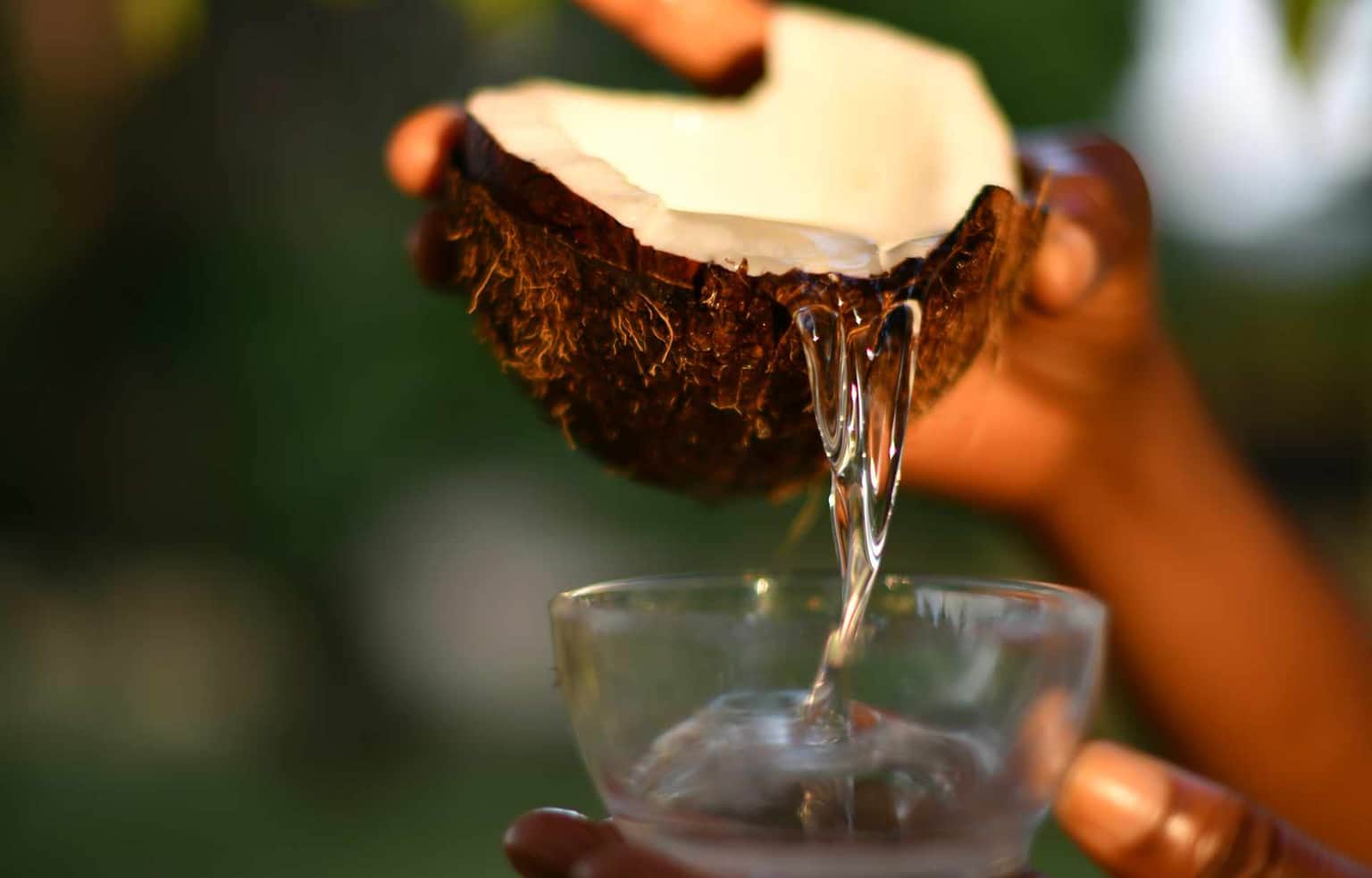 Organic Virgin Coconut Oil