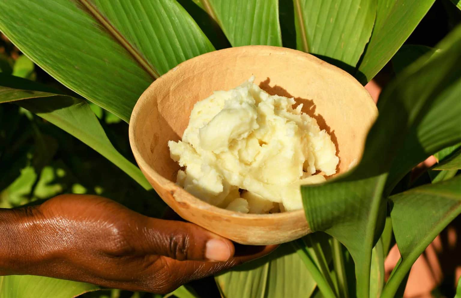 Shea Butter